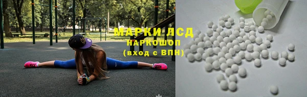 ешки Инта