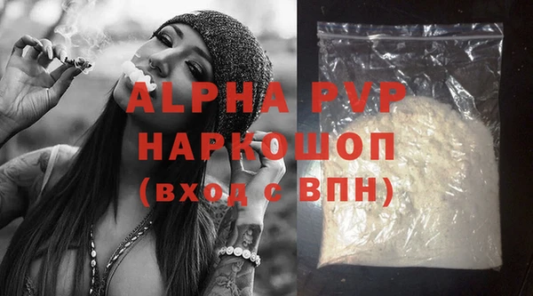 ешки Инта