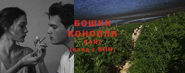 ешки Инта