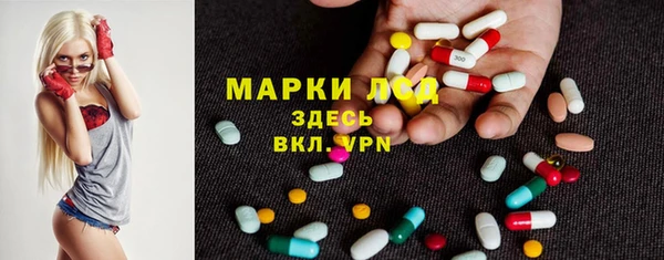 ешки Инта