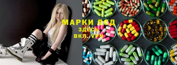 ешки Инта