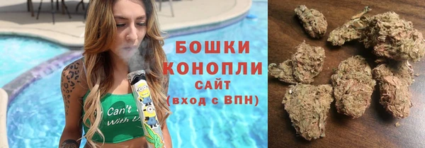 ешки Инта