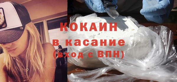 гашик Каменка