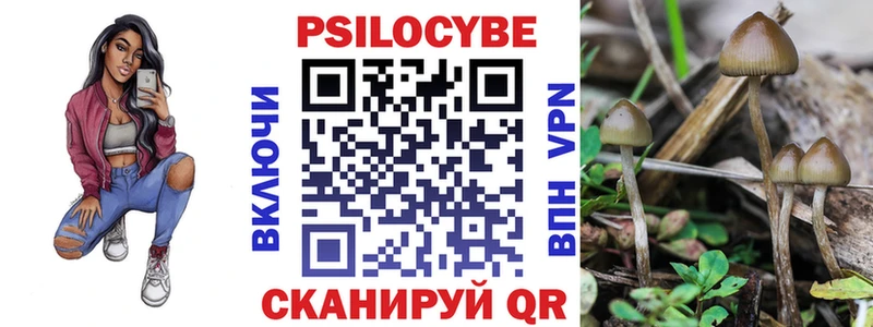 Купить  Куровское  Псилоцибиновые грибы MAGIC MUSHROOMS 